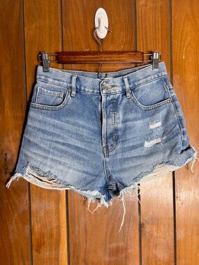 Pacsun Y2K Vintage High Rise Shorts Light wash 27 Button Fly grunge Distressed